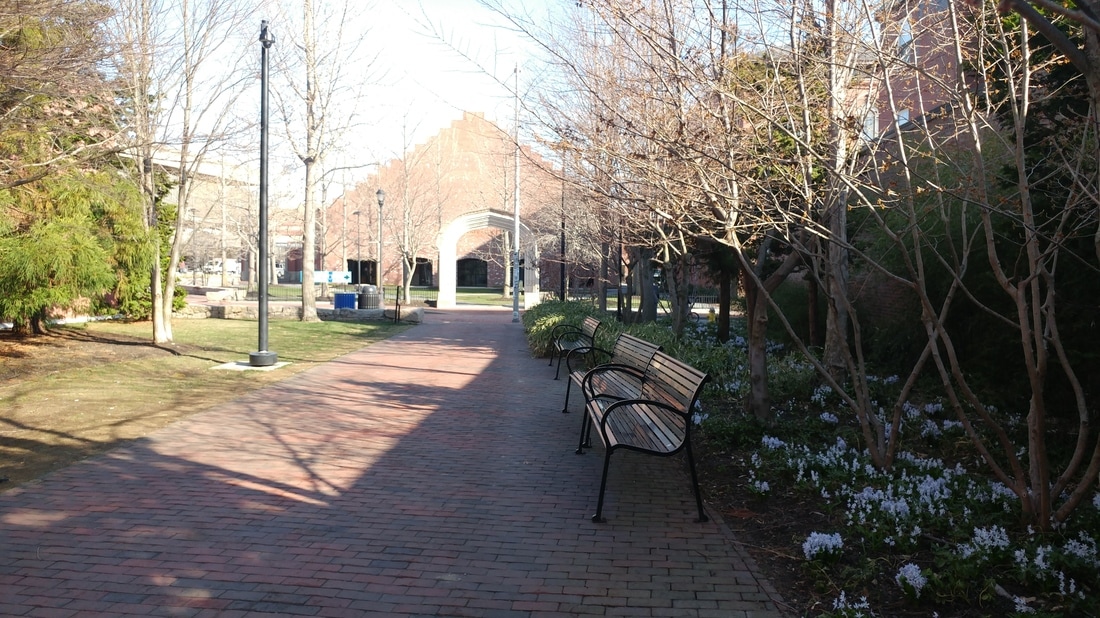 Side Garden of the Peabody Essex Museum