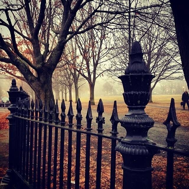 Salem Common fence in the fall